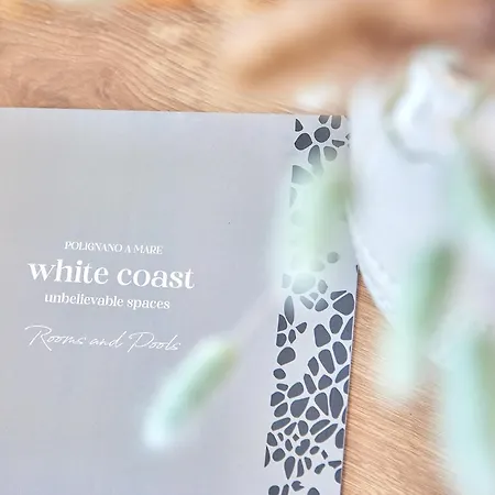 Guest house White Coast